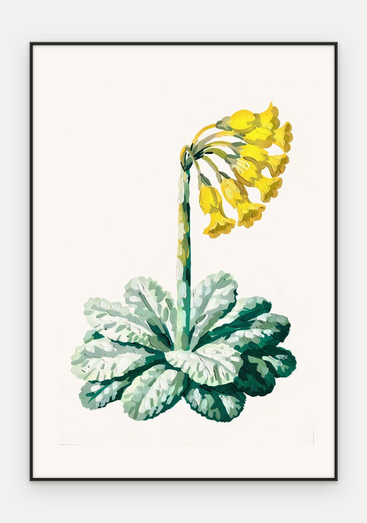 Plakat Pierwiosnek w ramie, oprawa: aluminium czarne, format 70 × 100 cm