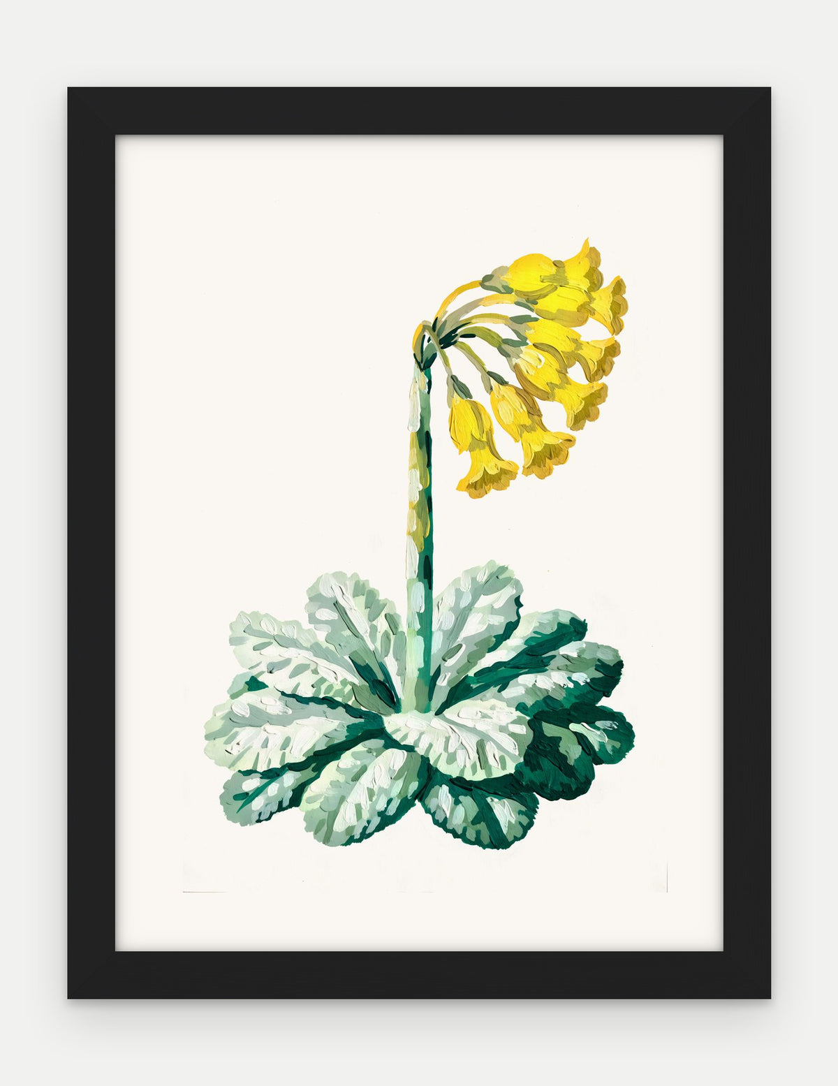 Plakat Pierwiosnek w ramie, oprawa: drewno czarne, format 30 × 40 cm