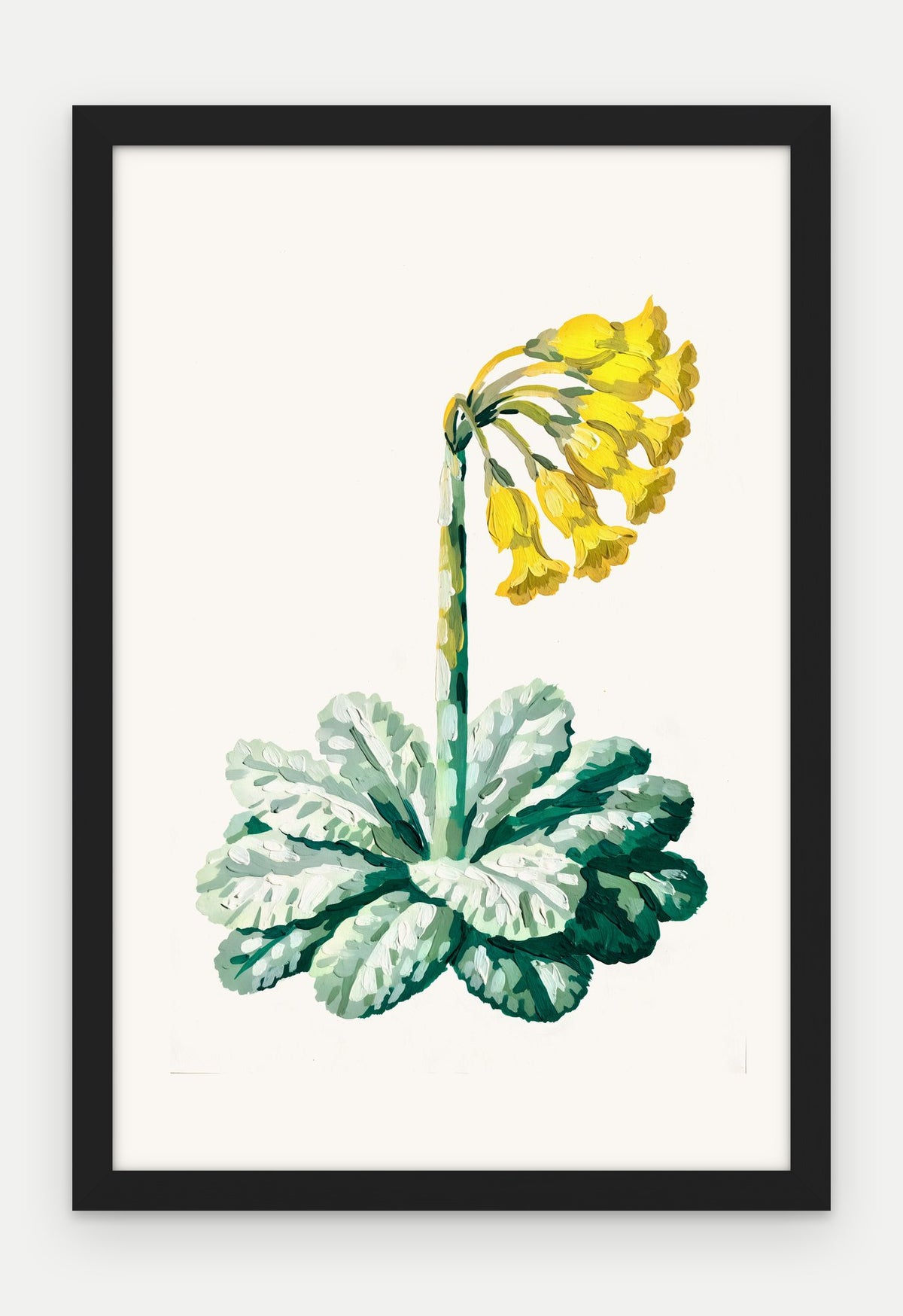 Plakat Pierwiosnek w ramie, oprawa: drewno czarne, format 40 × 60 cm