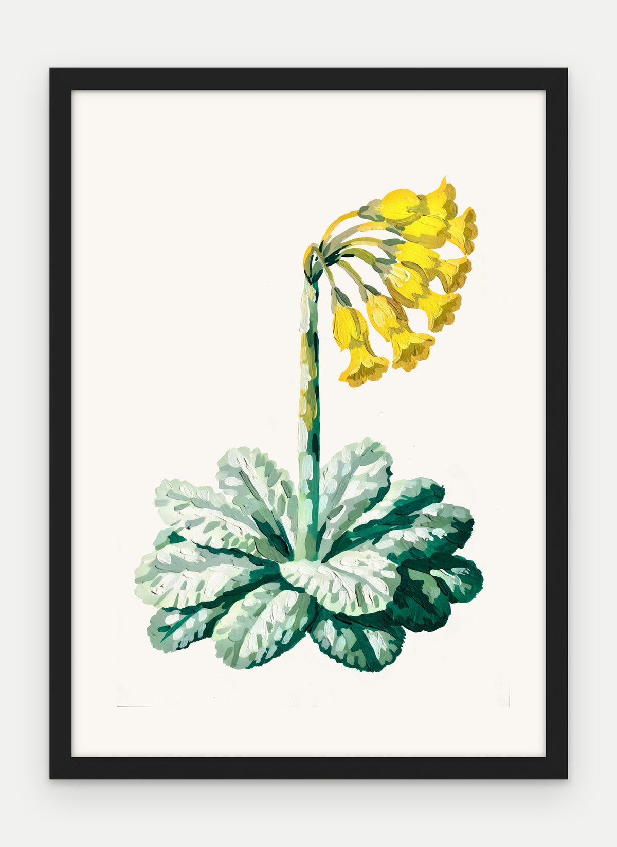 Plakat Pierwiosnek w ramie, oprawa: drewno czarne, format 50 × 70 cm