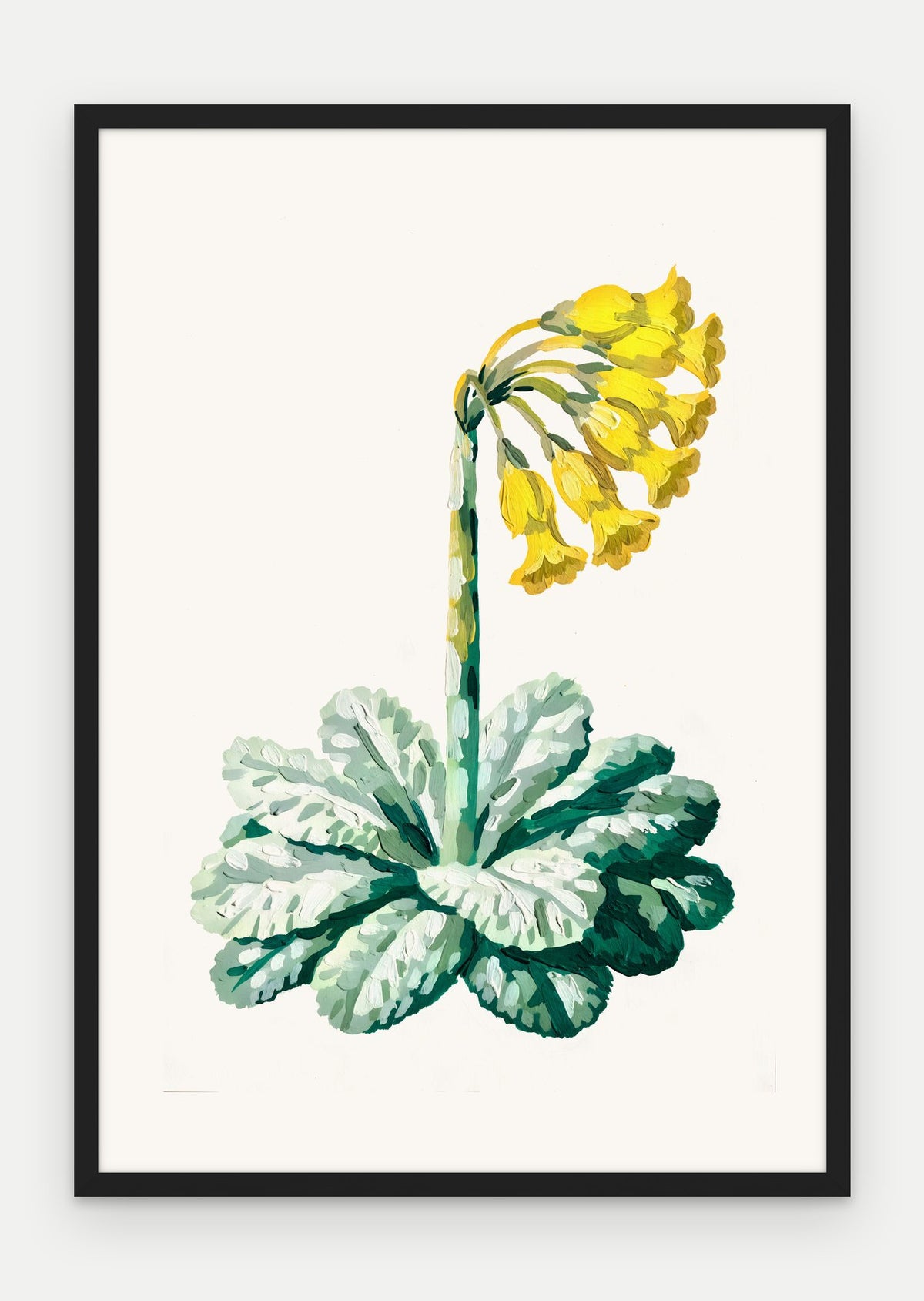 Plakat Pierwiosnek w ramie, oprawa: drewno czarne, format 70 × 100 cm