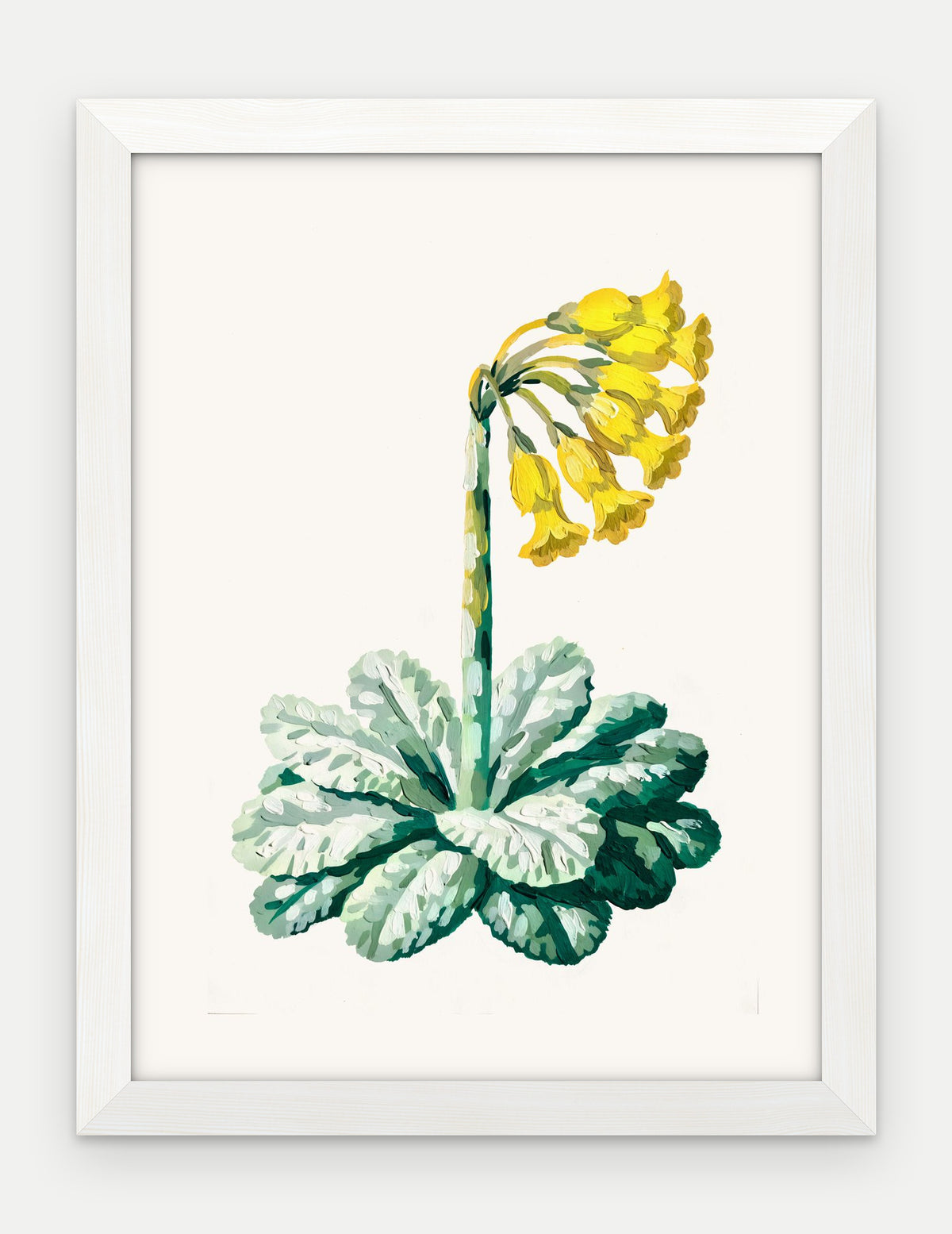 Plakat Pierwiosnek w ramie, oprawa: drewno białe, format 30 × 40 cm