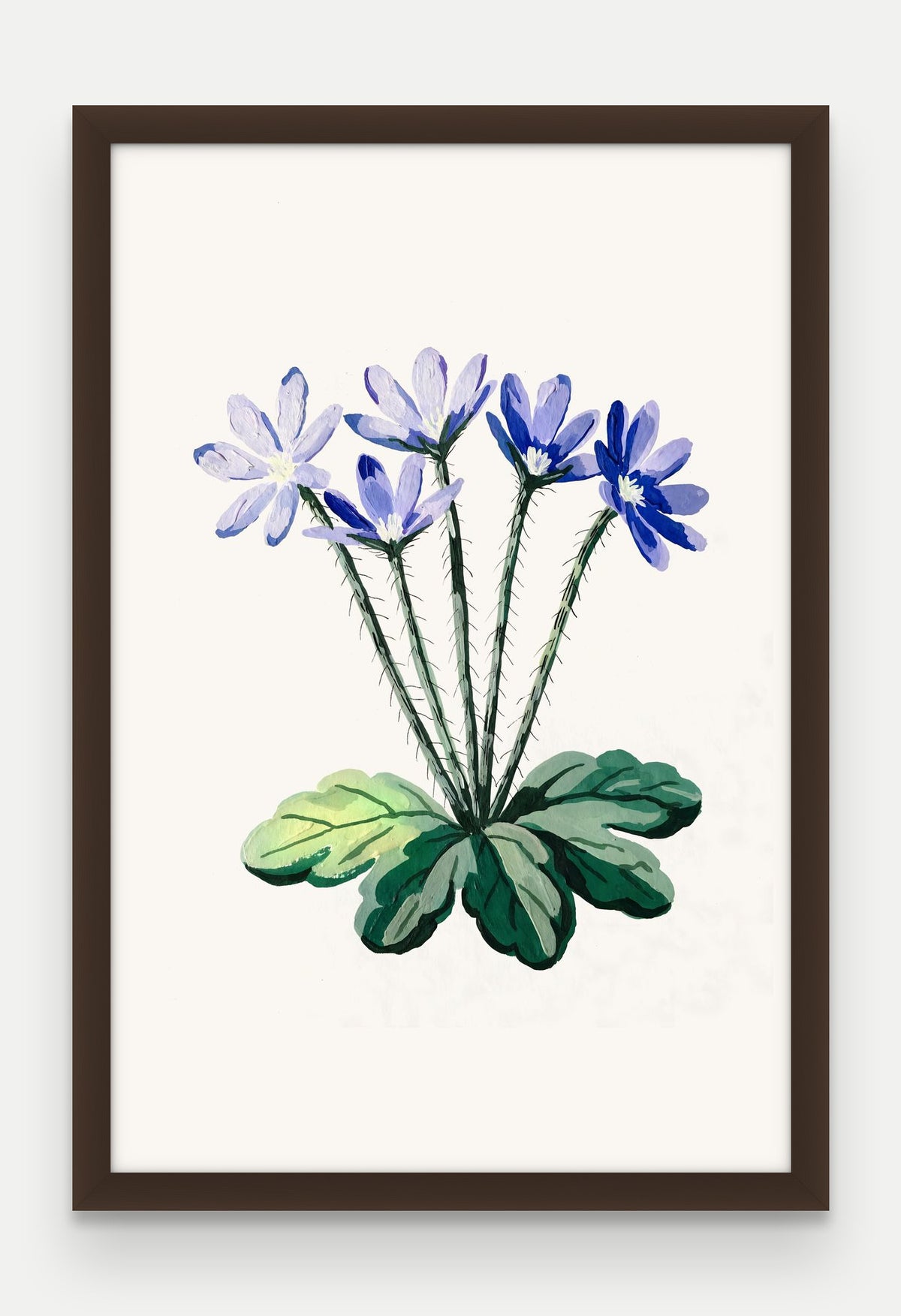 Obraz na płótnie Przylaszczka w ramie, oprawa: drewno brązowe, format 40 × 60 cm
