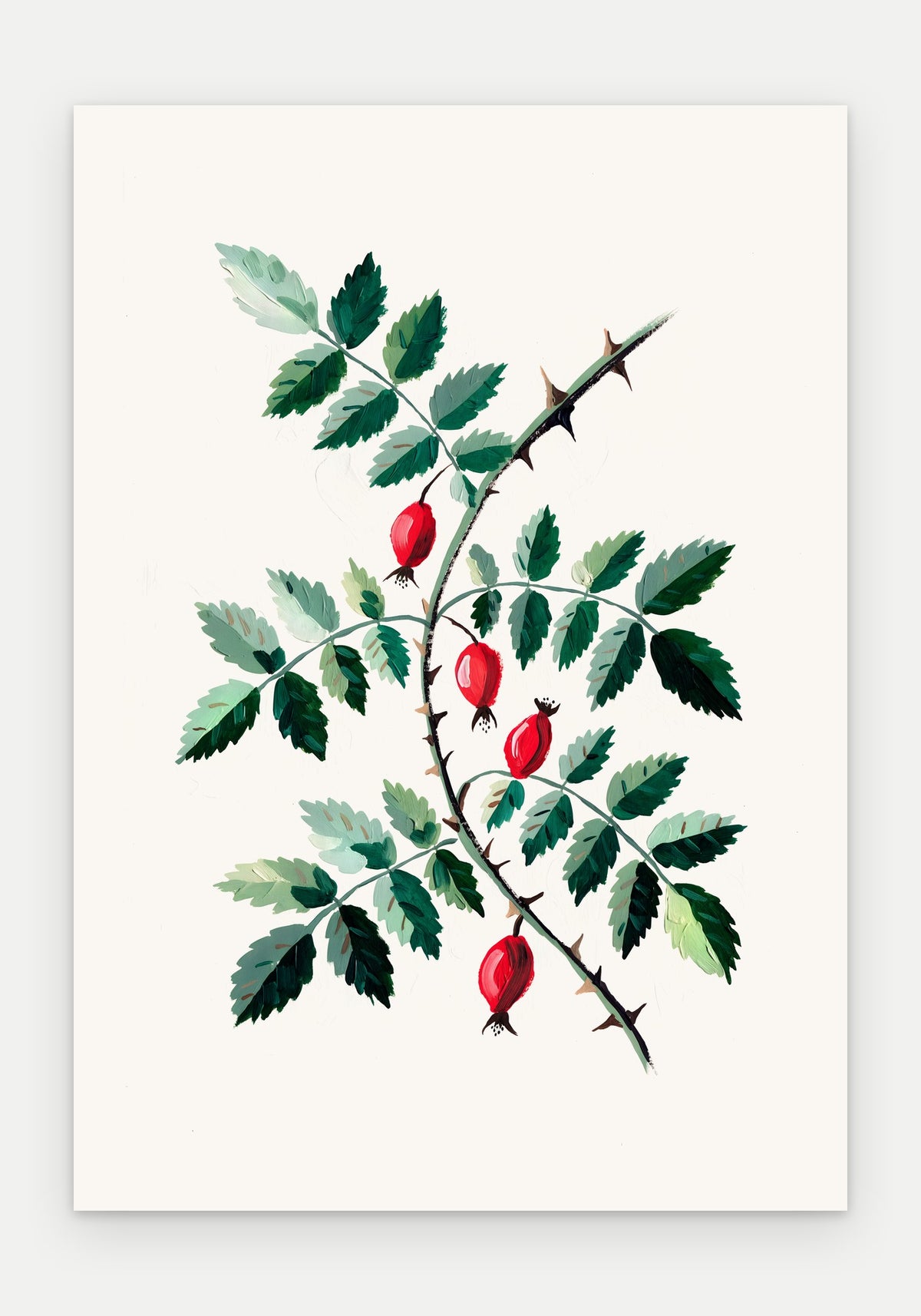 Plakat Dzika róża – plakat botaniczny, sam arkusz bez oprawy