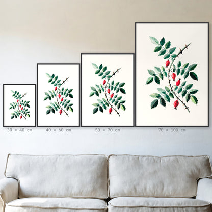 Plakat Dzika róża w czarnej ramie – porównanie formatów 30×40, 40×60, 50×70 i 70×100 cm nad sofą