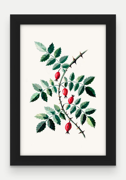 Obraz na płótnie Dzika róża w ramie, oprawa: drewno czarne, format 20 × 30 cm