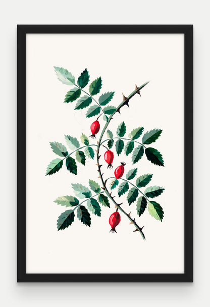 Obraz na płótnie Dzika róża w ramie, oprawa: drewno czarne, format 40 × 60 cm