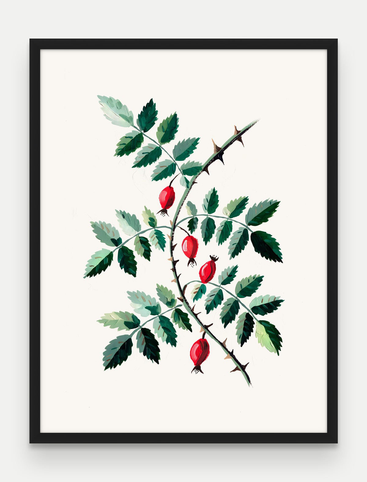 Obraz na płótnie Dzika róża w ramie, oprawa: drewno czarne, format 60 × 80 cm