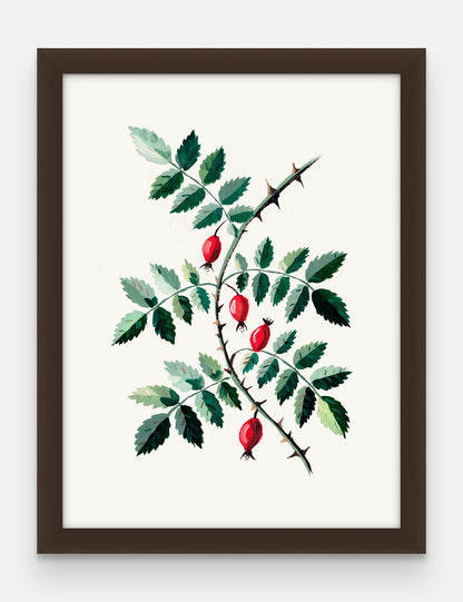 Obraz na płótnie Dzika róża w ramie, oprawa: drewno brązowe, format 30 × 40 cm