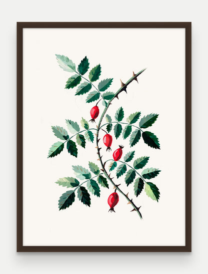 Obraz na płótnie Dzika róża w ramie, oprawa: drewno brązowe, format 60 × 80 cm