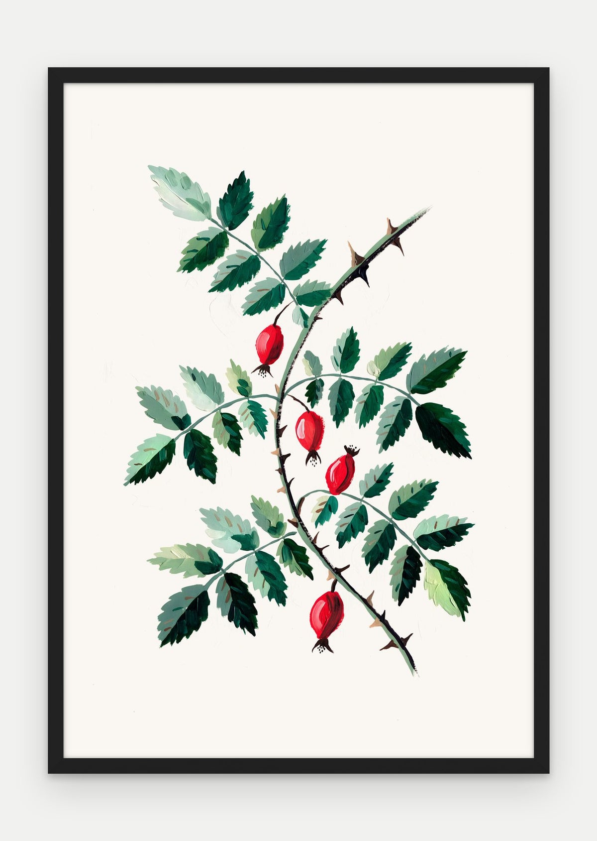 Plakat Dzika róża w ramie, oprawa: drewno czarne, format 70 × 100 cm