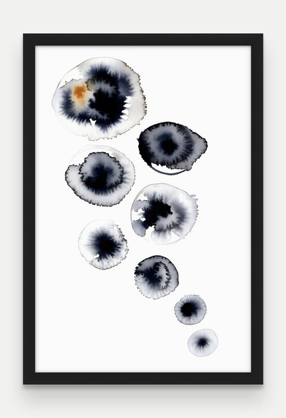 Obraz na płótnie Rozsyp w ramie, oprawa: drewno czarne, format 40 × 60 cm