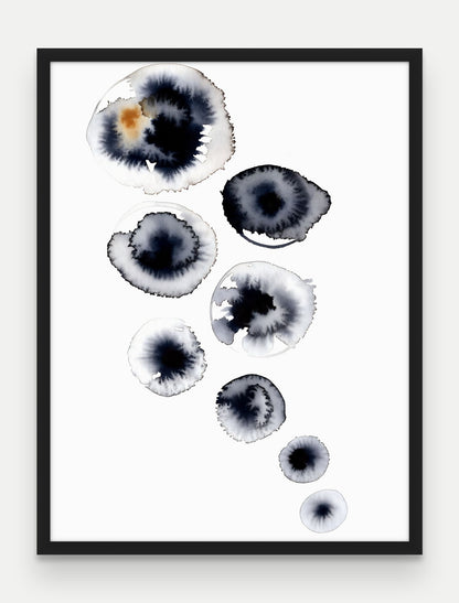 Obraz na płótnie Rozsyp w ramie, oprawa: drewno czarne, format 60 × 80 cm