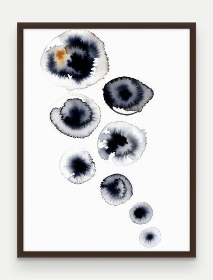 Obraz na płótnie Rozsyp w ramie, oprawa: drewno brązowe, format 60 × 80 cm