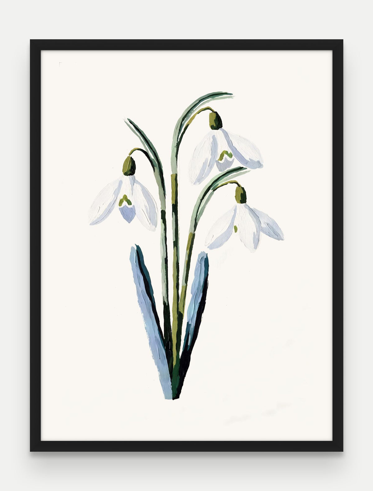 Obraz na płótnie Przebiśnieg w ramie, oprawa: drewno czarne, format 60 × 80 cm