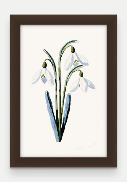 Obraz na płótnie Przebiśnieg w ramie, oprawa: drewno brązowe, format 20 × 30 cm