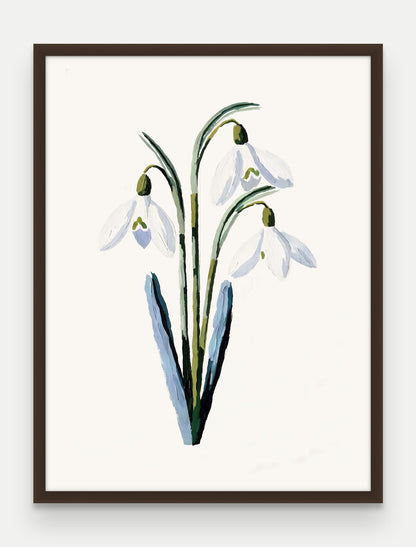 Obraz na płótnie Przebiśnieg w ramie, oprawa: drewno brązowe, format 60 × 80 cm