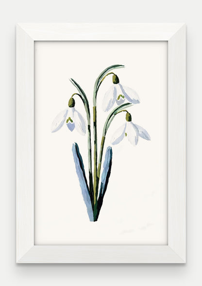 Obraz na płótnie Przebiśnieg w ramie, oprawa: drewno białe, format 20 × 30 cm