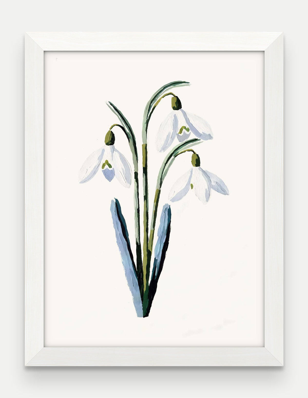 Obraz na płótnie Przebiśnieg w ramie, oprawa: drewno białe, format 30 × 40 cm