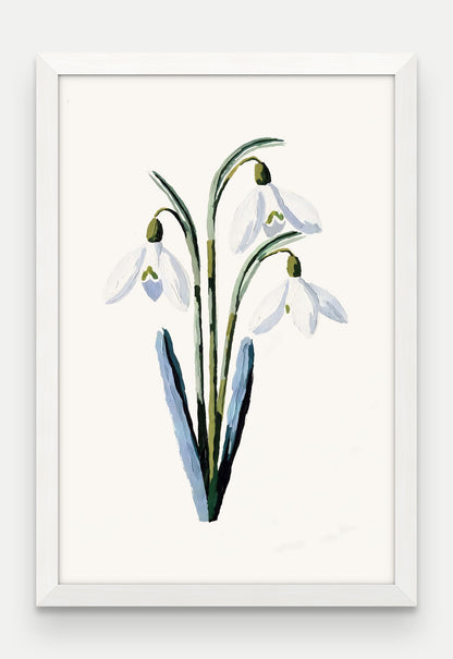 Obraz na płótnie Przebiśnieg w ramie, oprawa: drewno białe, format 40 × 60 cm
