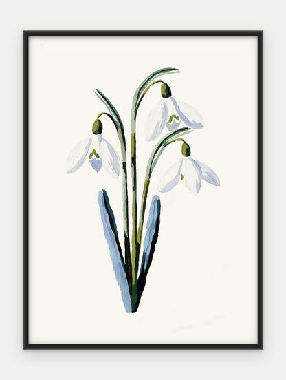 Plakat Przebiśnieg w ramie, oprawa: aluminium czarne, format 30 × 40 cm