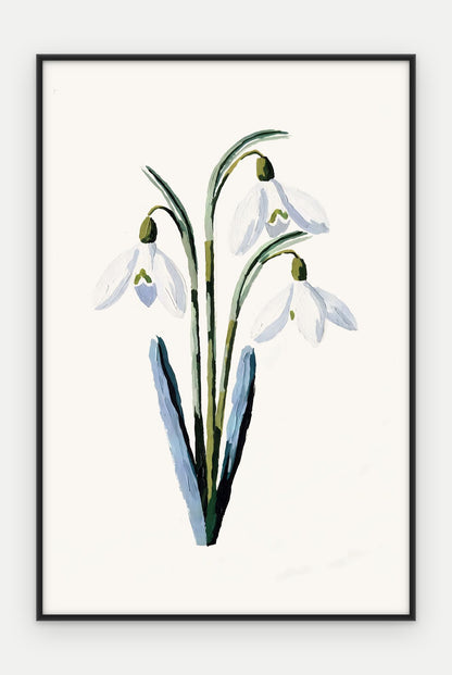 Plakat Przebiśnieg w ramie, oprawa: aluminium czarne, format 40 × 60 cm