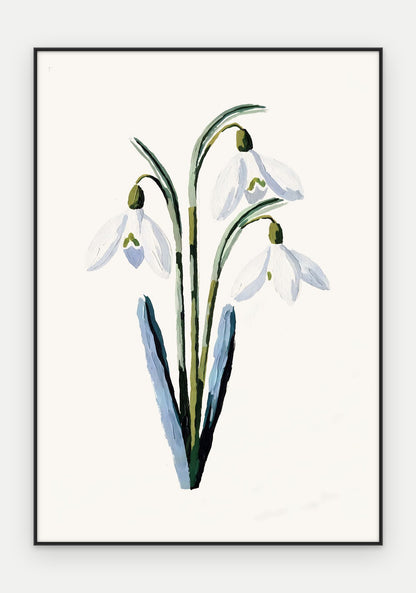 Plakat Przebiśnieg w ramie, oprawa: aluminium czarne, format 70 × 100 cm