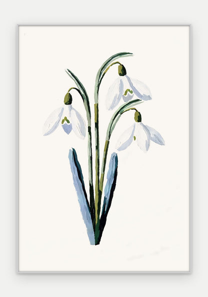 Plakat Przebiśnieg w ramie, oprawa: aluminium srebrne, format 70 × 100 cm