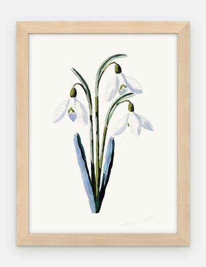 Plakat Przebiśnieg w ramie, oprawa: drewno naturalne, format 30 × 40 cm