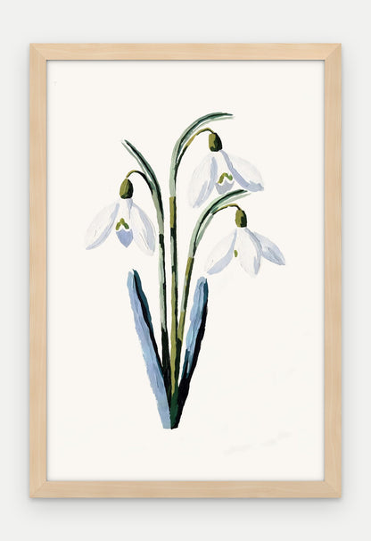 Plakat Przebiśnieg w ramie, oprawa: drewno naturalne, format 40 × 60 cm