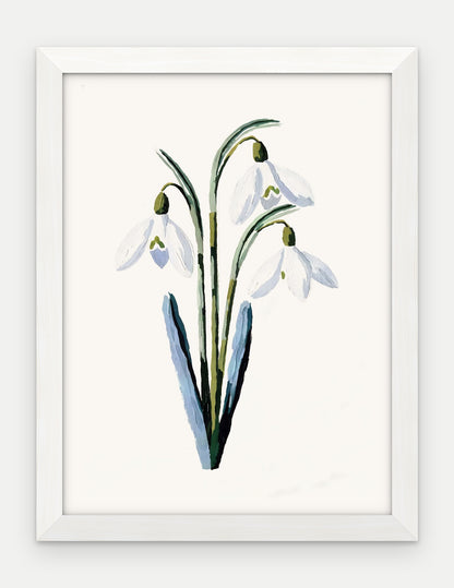 Plakat Przebiśnieg w ramie, oprawa: drewno białe, format 30 × 40 cm
