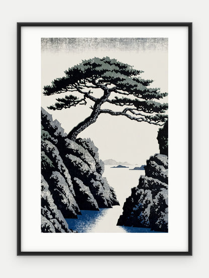 Plakat Sosna w ramie, oprawa: aluminium czarne, z passe-partout, format 30 × 40 cm