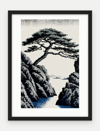 Plakat Sosna w ramie, oprawa: drewno czarne, z passe-partout, format 30 × 40 cm