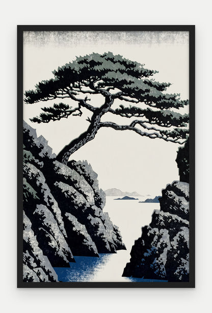 Plakat Sosna w ramie, oprawa: drewno czarne, format 40 × 60 cm