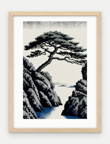 Plakat Sosna w ramie, oprawa: drewno naturalne, z passe-partout, format 30 × 40 cm