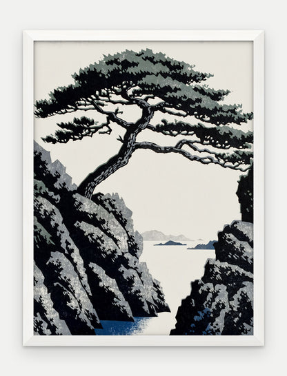 Plakat Sosna w ramie, oprawa: drewno białe, format 30 × 40 cm