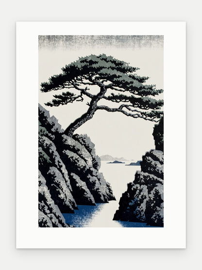 Plakat Sosna bez oprawy, z passe-partout, format 30 × 40 cm