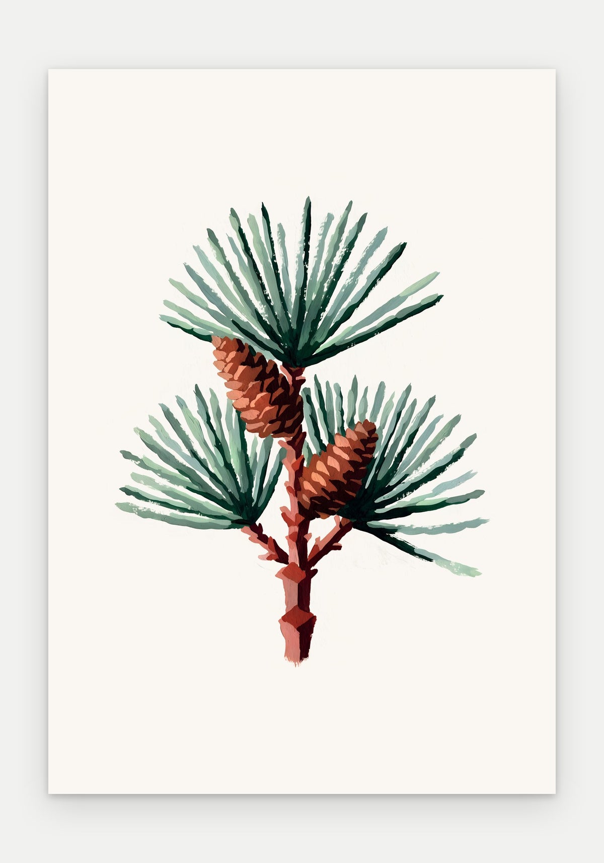 Plakat Sosna – plakat botaniczny, sam arkusz bez oprawy