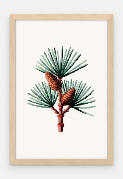 Plakat Sosna w ramie, oprawa: drewno naturalne, format 40 × 60 cm