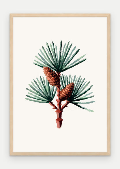 Plakat Sosna w ramie, oprawa: drewno naturalne, format 70 × 100 cm