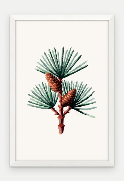Plakat Sosna w ramie, oprawa: drewno białe, format 40 × 60 cm