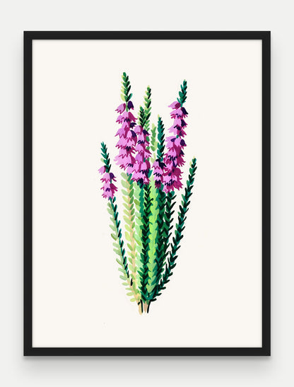 Obraz na płótnie Wrzos w ramie, oprawa: drewno czarne, format 60 × 80 cm