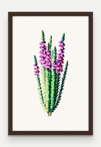Obraz na płótnie Wrzos w ramie, oprawa: drewno brązowe, format 40 × 60 cm