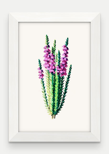 Obraz na płótnie Wrzos w ramie, oprawa: drewno białe, format 20 × 30 cm