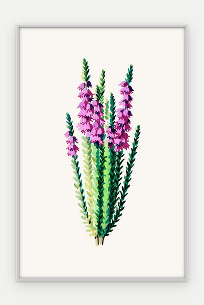 Plakat Wrzos w ramie, oprawa: aluminium srebrne, format 40 × 60 cm
