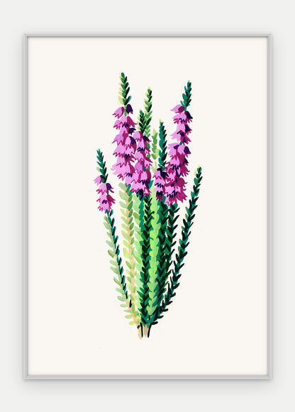 Plakat Wrzos w ramie, oprawa: aluminium srebrne, format 50 × 70 cm