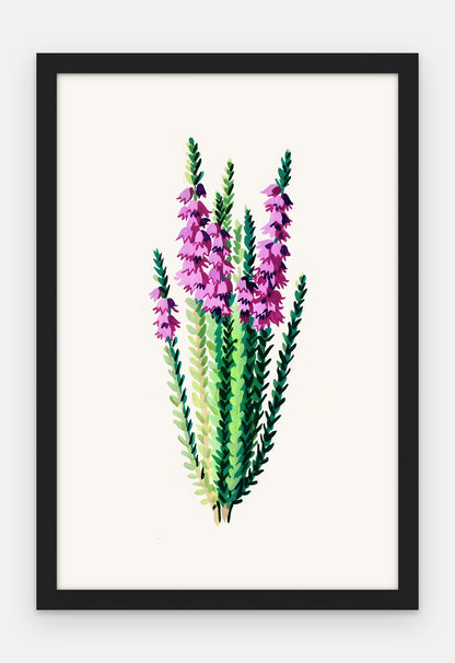 Plakat Wrzos w ramie, oprawa: drewno czarne, format 40 × 60 cm