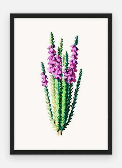 Plakat Wrzos w ramie, oprawa: drewno czarne, format 50 × 70 cm