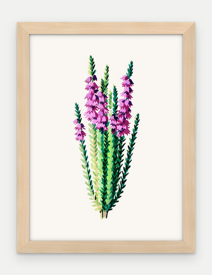 Plakat Wrzos w ramie, oprawa: drewno naturalne, format 30 × 40 cm