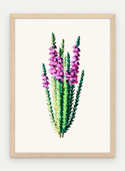 Plakat Wrzos w ramie, oprawa: drewno naturalne, format 50 × 70 cm